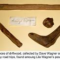 W-1980_Wagner, driftwood